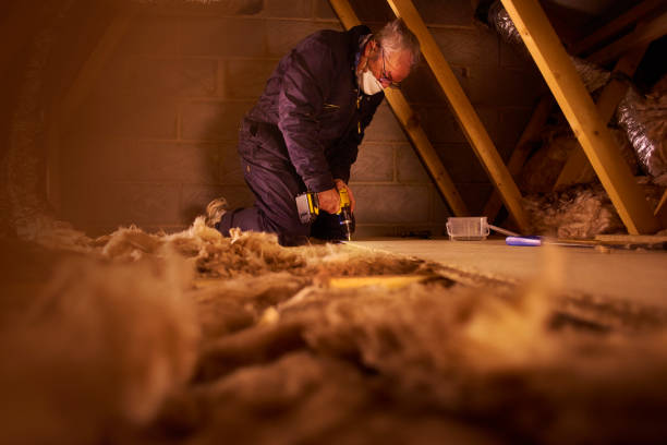 Best Insulation Maintenance and Repair in Norton Shores, MI